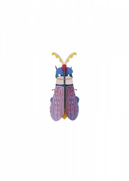STRIPED-WING-BEETLE_PRODUCT-PICTURE-571x800
