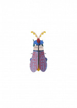 STRIPED-WING-BEETLE_PRODUCT-PICTURE-571x800