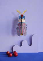 STRIPED-WING-BEETLE_AMBIENT-PORTRAIT-571x800