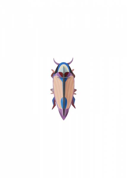 VIOLET-CLICK-BEETLE_PRODUCT-PICTURE-571x800