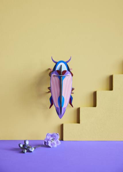 VIOLET-CLICK-BEETLE_AMBIENT-PORTRAIT-1-571x800