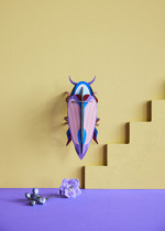 VIOLET-CLICK-BEETLE_AMBIENT-PORTRAIT-1-571x800