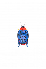 fungus-beetle-product-2-533x800