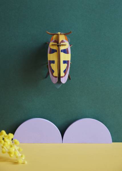 MANGO-FLOWER-BEETLE_AMBIENT-PORTRAIT-571x800