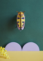 MANGO-FLOWER-BEETLE_AMBIENT-PORTRAIT-571x800