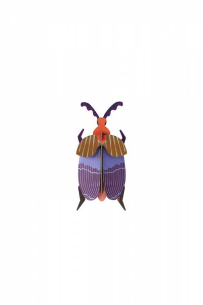 QUEEN-BEETLE-534x800