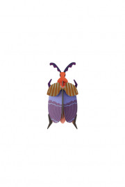 Small Insects Queen Beetle