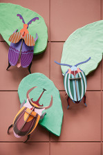 Vertical-overview-new-beetles1-534x800