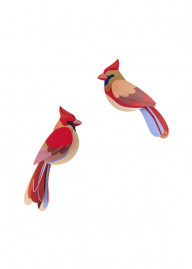 Garden Bird Cardinals