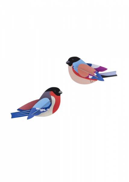 FINCHES_PRODUCT-PICTURE-571x800