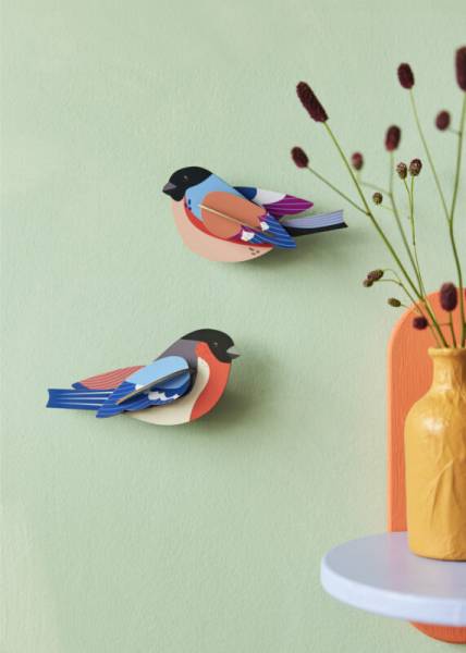 FINCHES_AMBIENT-PORTRAIT-571x800