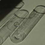 yahya_studio_Glas L Ok Person4