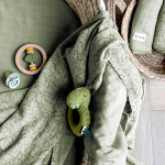 trixie_Rassel Mr.Dino_3