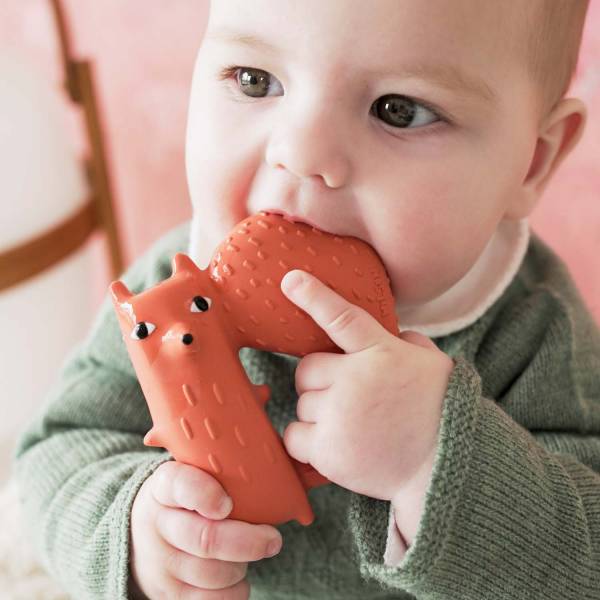 Beissring Cyril Squirrel Fox_4