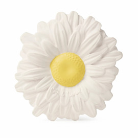 Beissring Margarite