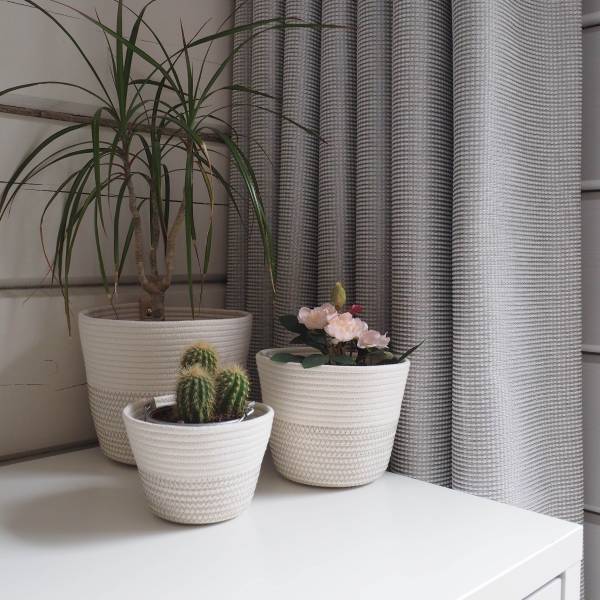 panters_boho-mood